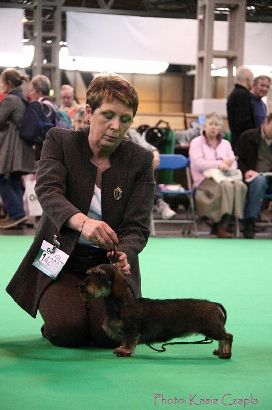 Crufts2011_2 1561.jpg